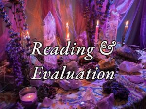 Reading and Evaluation - Venus Amore
