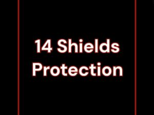 14 Shields Protection White or Black Magic - Black Moon Temple